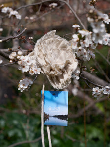 Flower brooch